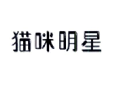 猫咪明星