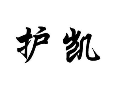 护凯