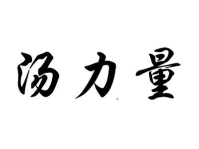 汤力量