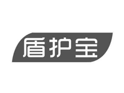 盾护宝