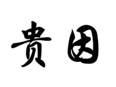 贵因