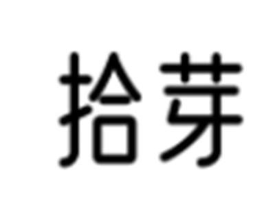 拾芽