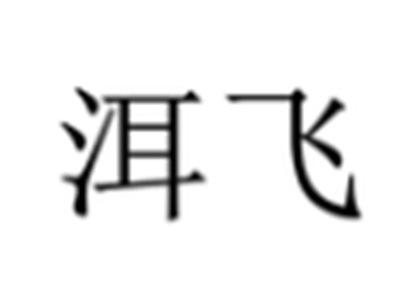 洱飞