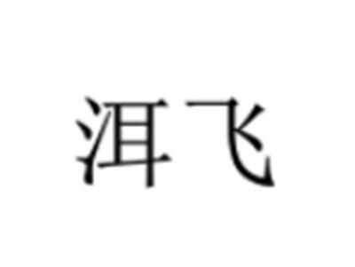 洱飞