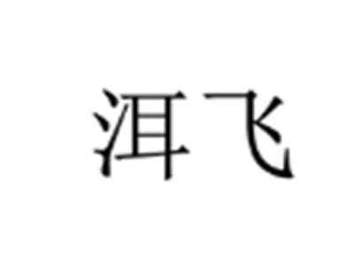 洱飞