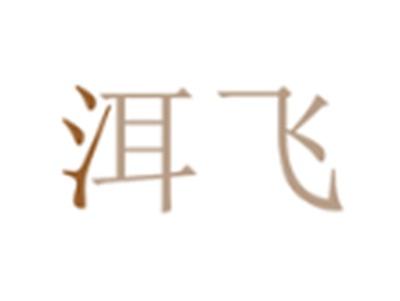 洱飞