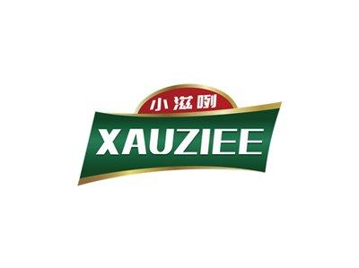 小滋咧XAUZlEE