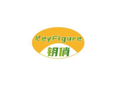 钥俏KEYFIGURE