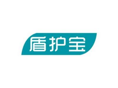 盾护宝