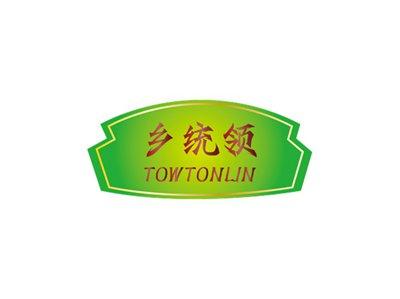 乡统领TOWTONLIN