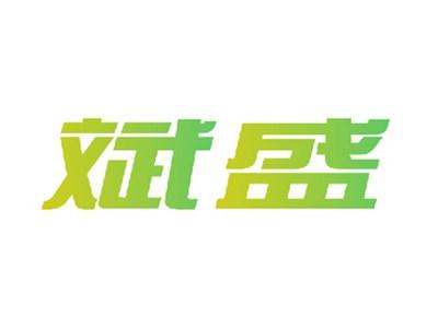 斌盛