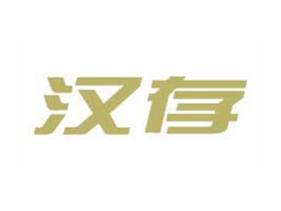 汉存