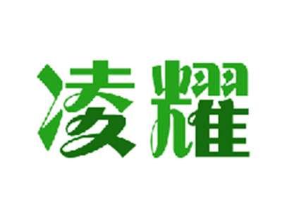 凌耀