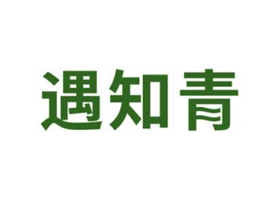 遇知青