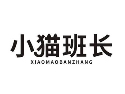 小猫班长
