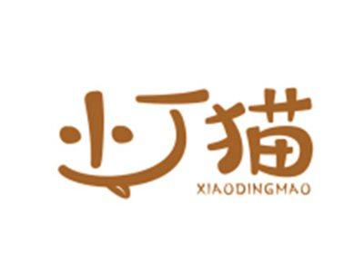 小丁猫