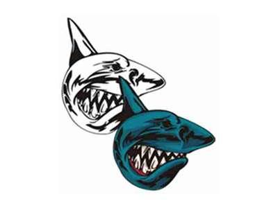 鲨鱼图形