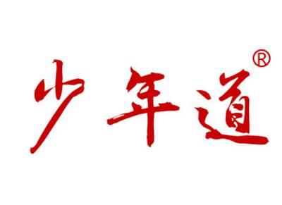 少年道