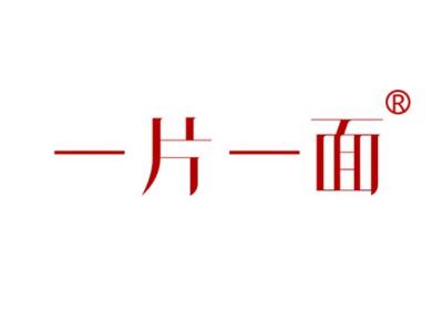 一片一面