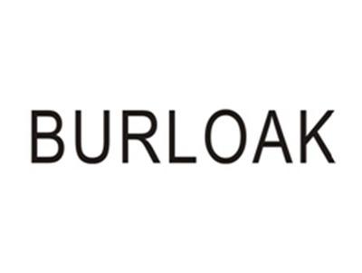 BURLOAK三D打印国际品牌