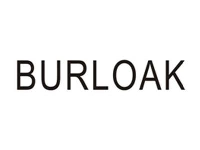 BURLOAK三D打印国际品牌