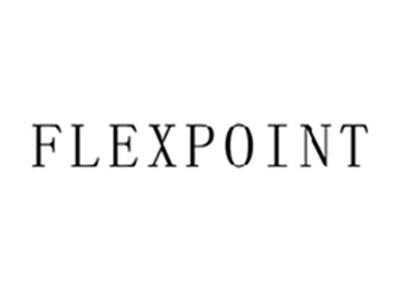 FLEXPOINT