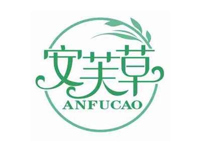 安芙草
ANFUCAO