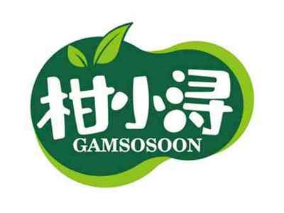 柑小浔
GAMSOSOON