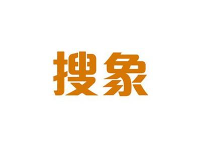 搜象