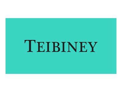 TEIBINEY(擦边tiffany)