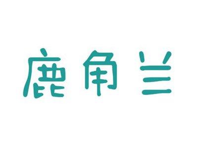 鹿角兰