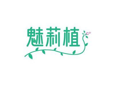 魅莉植