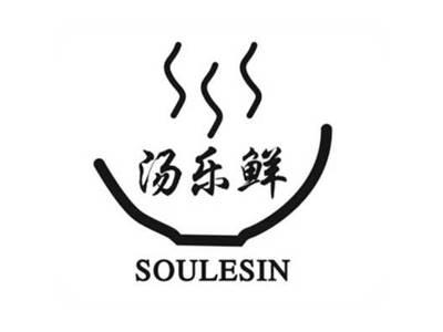 汤乐鲜SOULESIN