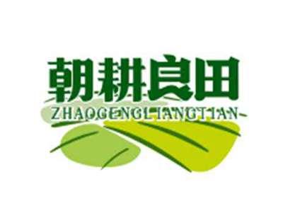 朝耕良田zhaogengliangtian