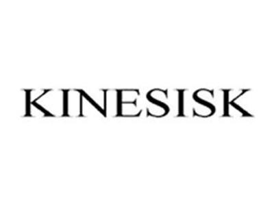 KINESISK