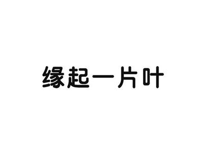 缘起一片叶
