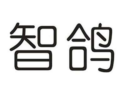 智鸽
