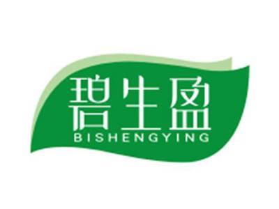 碧生盈BISHENGYING