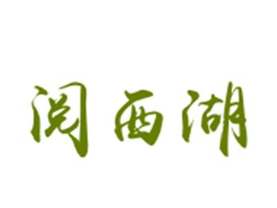 阅西湖
