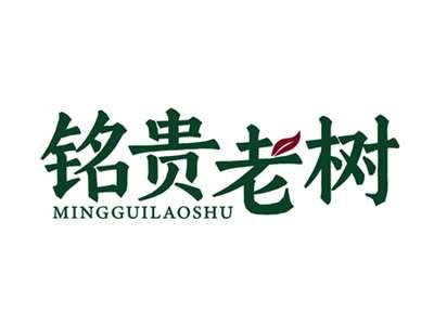 铭贵老树