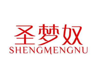 圣梦奴