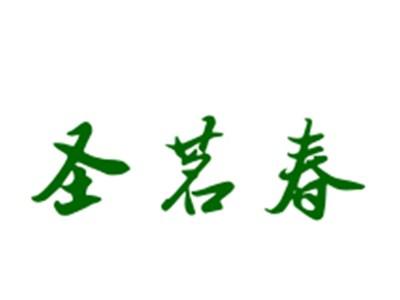 圣茗春