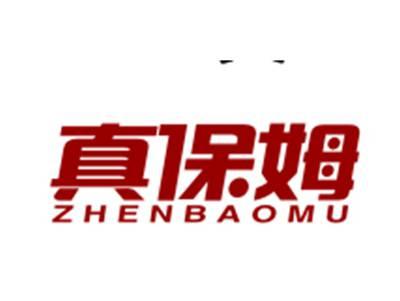 真保姆