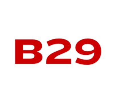 B29