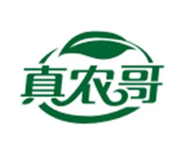 真农哥29/30类同名