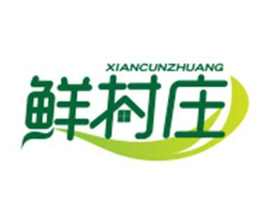 鲜村庄29/30/31类同名