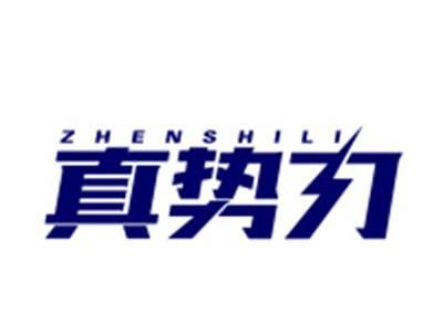 真势力