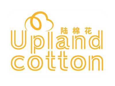 陆棉花UPLANDCOTTON