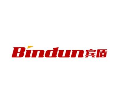 宾盾