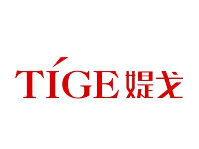 媞戈